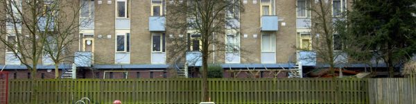 Hulp nodig bij het vergroenen van je tuin of buurt?